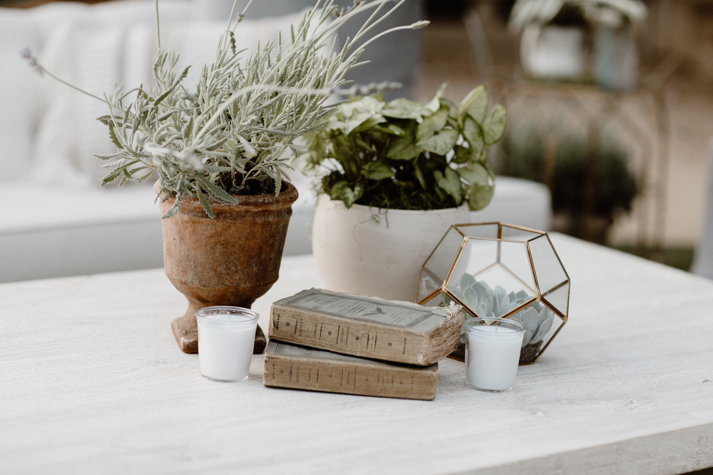 S + D Holman Ranch — Revival Rentals Vintage Furniture & Decor