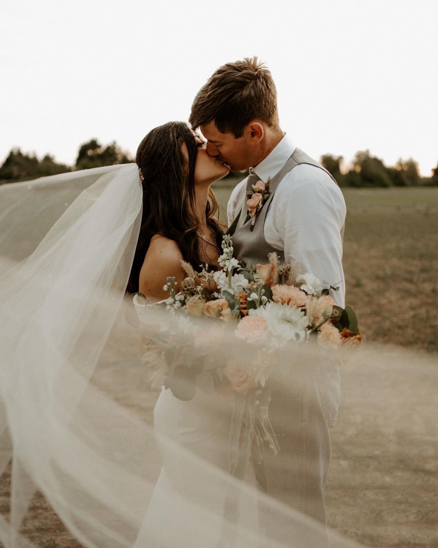 the smiles Kyle + Angie had on their faces this entire day were so infectious. even just looking at the photos I can&rsquo;t help but to smile with them.

venue: @yellowgoldfarmevents
video: @jeremyito.storydesign 
coordination: @bluelarkevents
flora