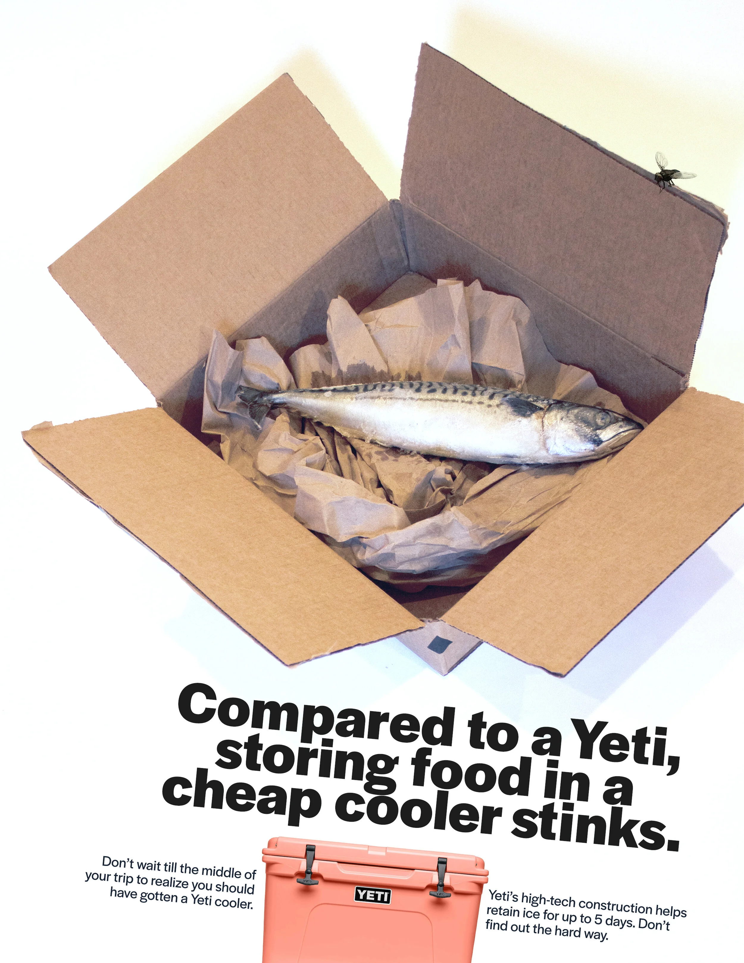 Yeti_XiaowenYang_fish.jpg