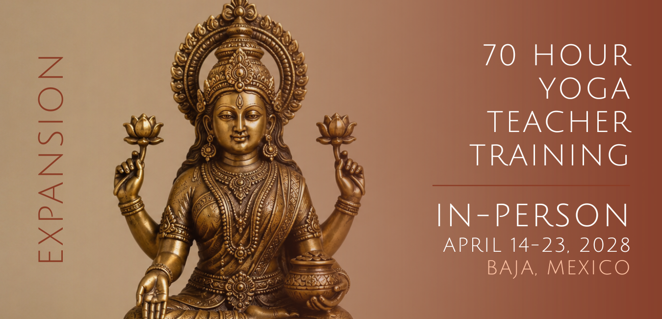 Immersion 3: Expansion 70-Hour Yoga Teacher Training