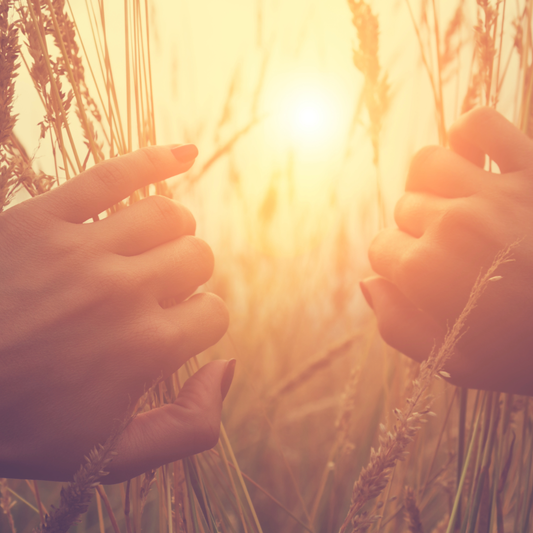 Hands to the sun.png
