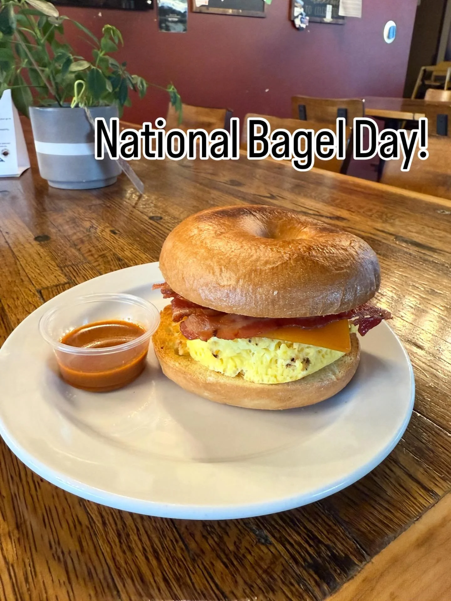 Did you know Launch now has bagels! Yum! We can make your favorite sandwich on them or you can just have one with cream cheese. Simple and delicious. #bagels #bagelday #goldenco #coloradocoffee #goldencolorado