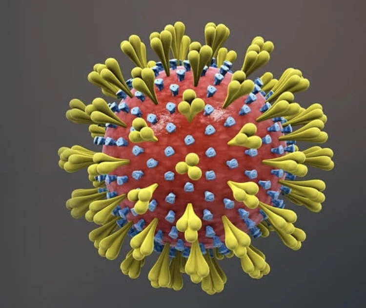 Corona trifft auch den unpopulären Sport