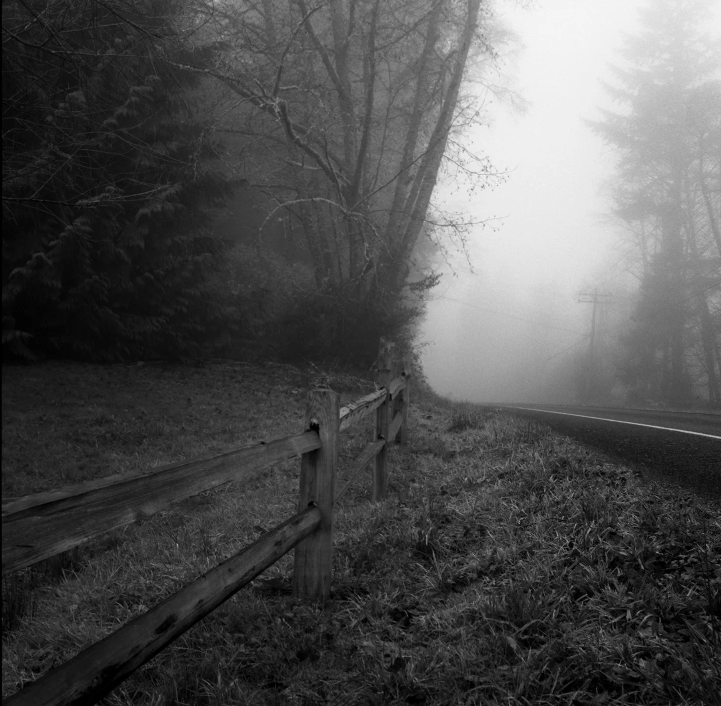 2024_12_MAMIYA6+FP4 125 @50+orangefilter_Fog-WHIDBEY_roll1_06.jpeg