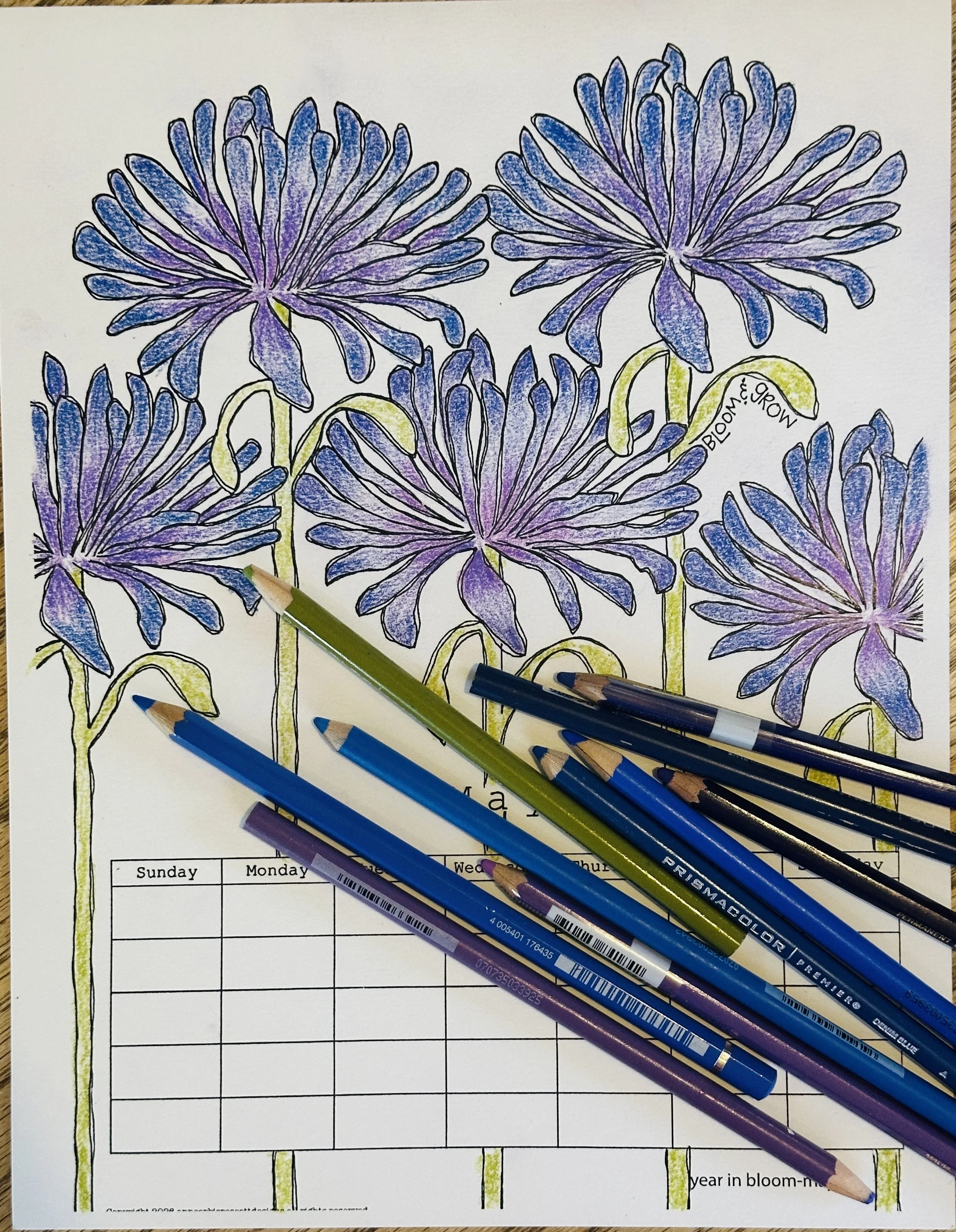 Year in Bloom-June