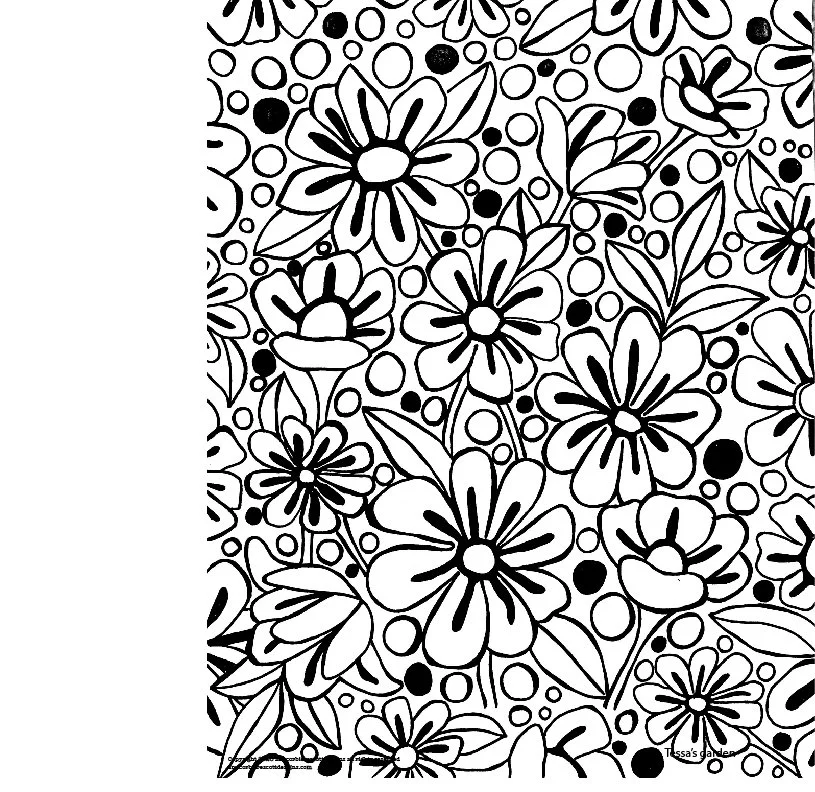Tessa's garden.jpg