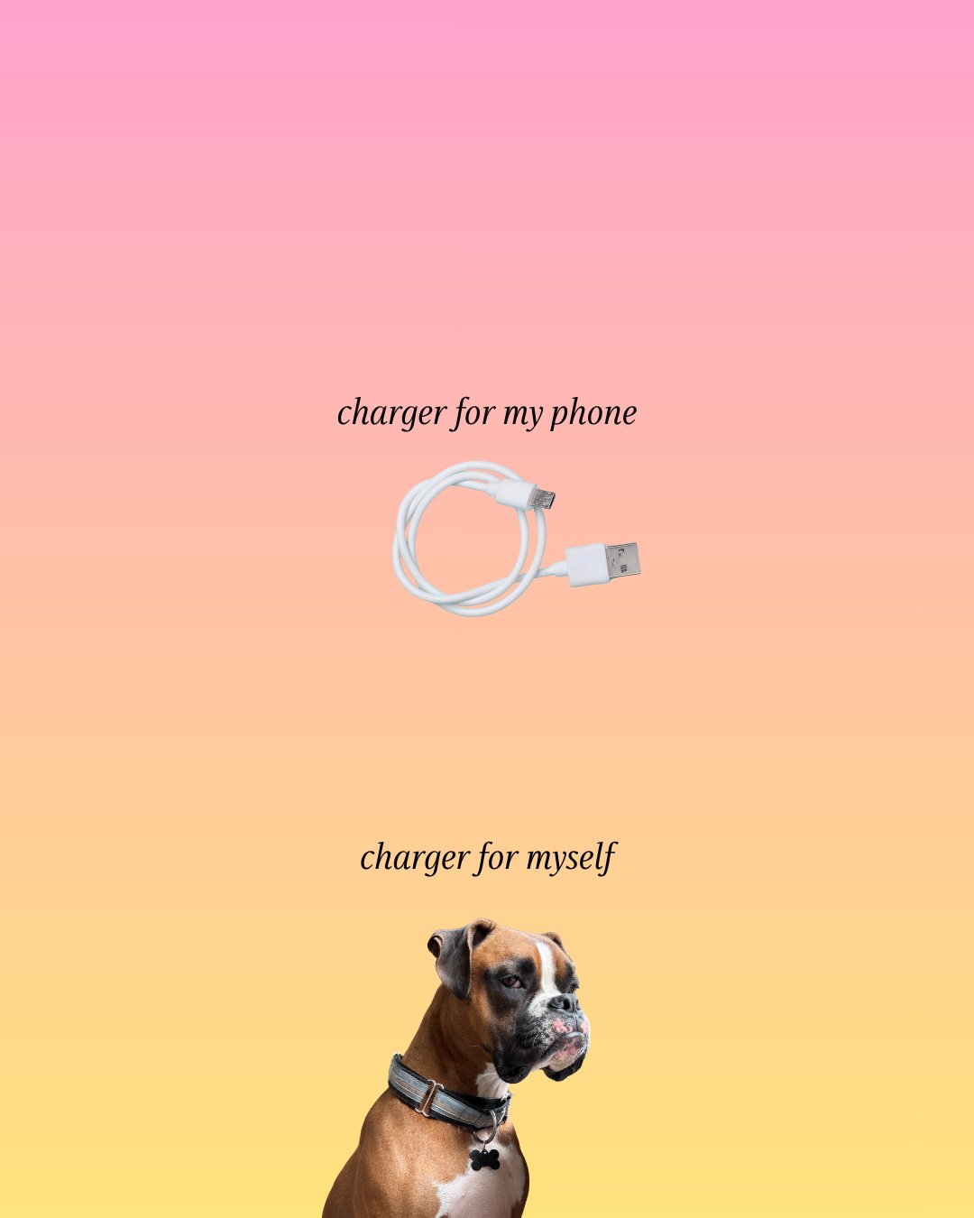 What&rsquo;s your charger? 🔌 Mine is a 2ish year old rescue boxer mix named Nat (King Cole).❤️⁠
⁠
Templates from the latest Trend Drops, available inside @yourtemplateclub (comment &ldquo;DACLUB&rdquo; and join us!)