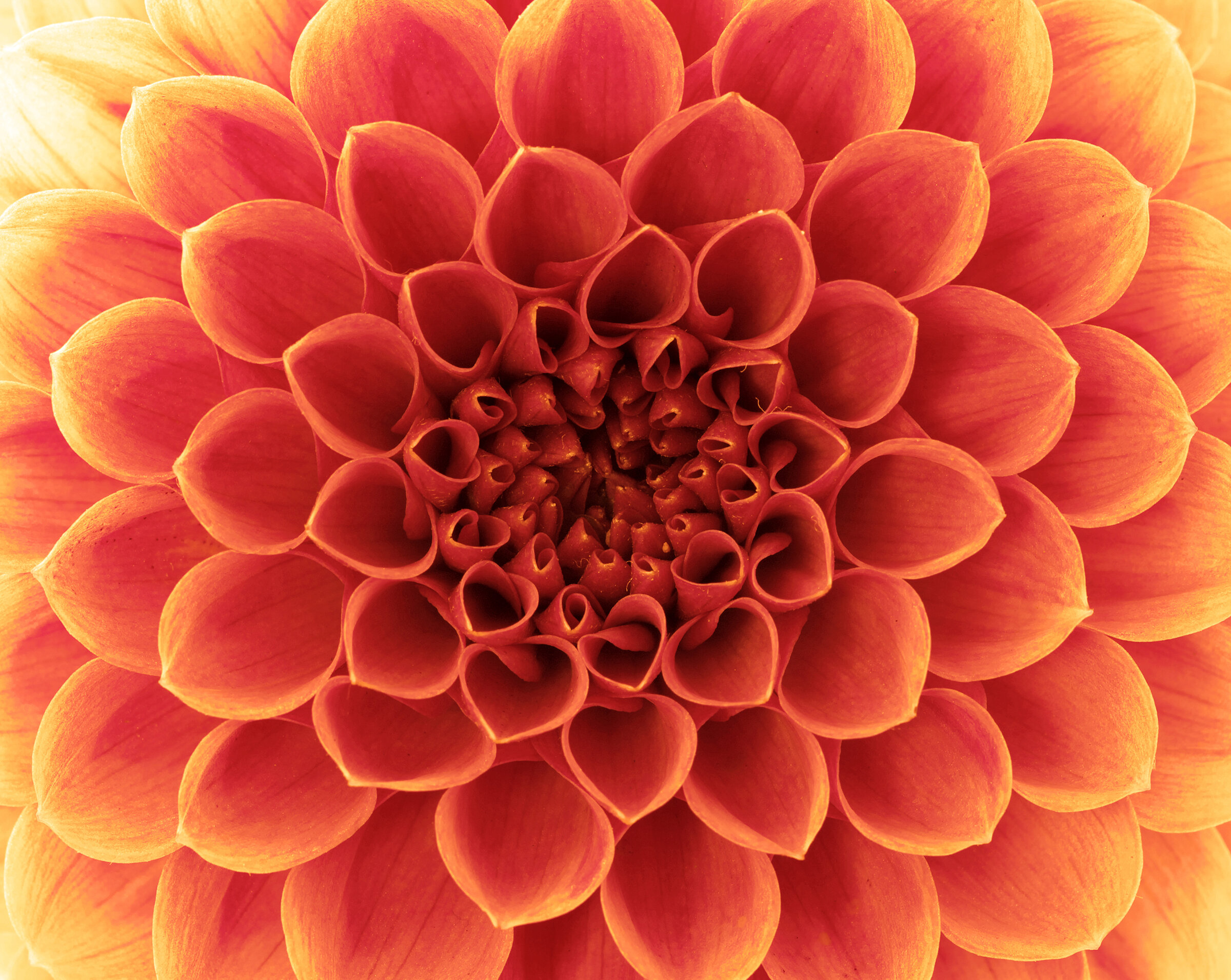 Defining Abundance