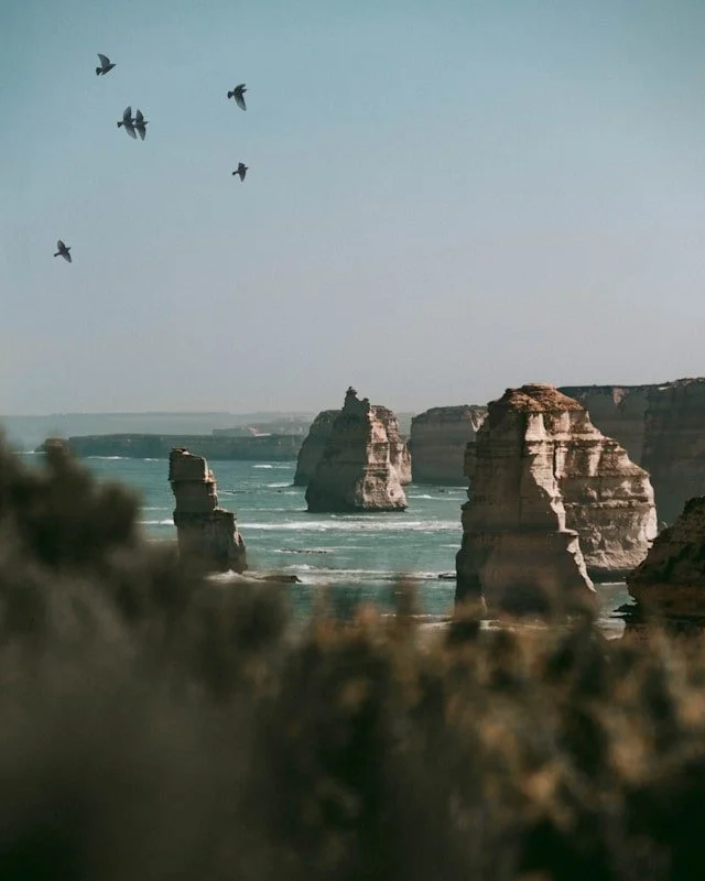day trips are one of the best things about living in melbourne