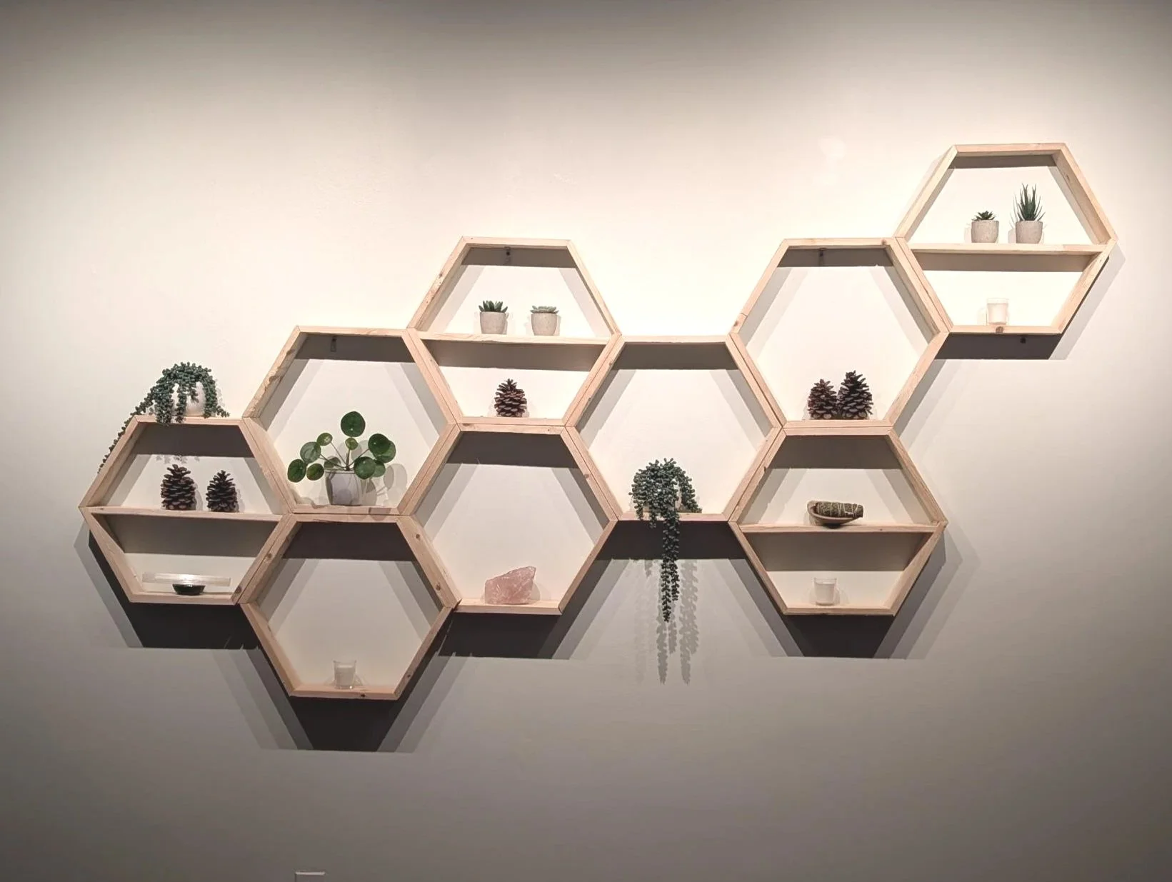 Waterlily Wellness - Open House