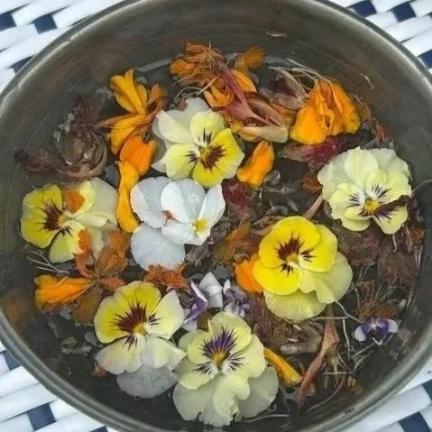 Seasonal Yoga Workshop