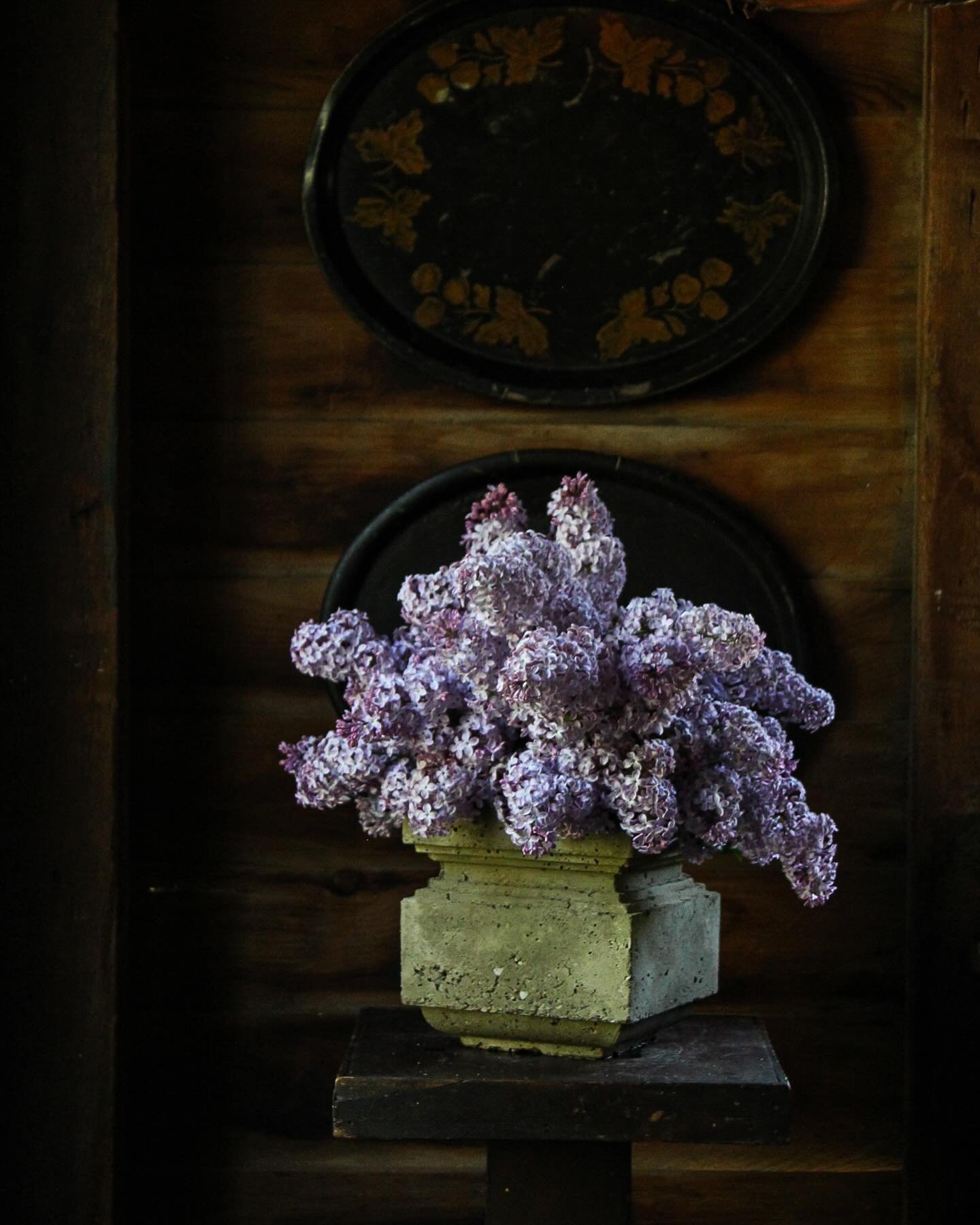 Carter&rsquo;s concrete vase, two ways with peaking lilac.