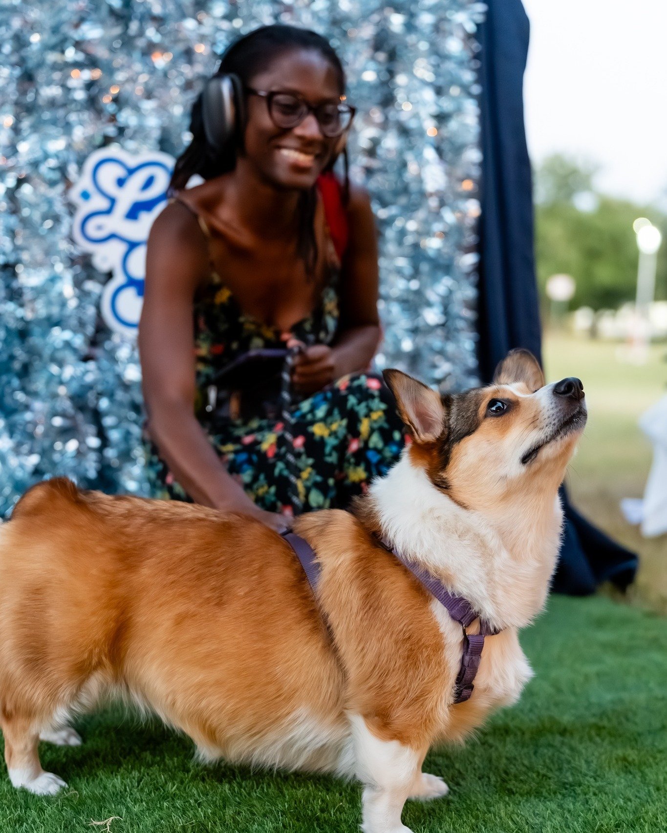 Happy Howlidays from these pups to you! ❄️

📸 content captured for @monika_normand_creative