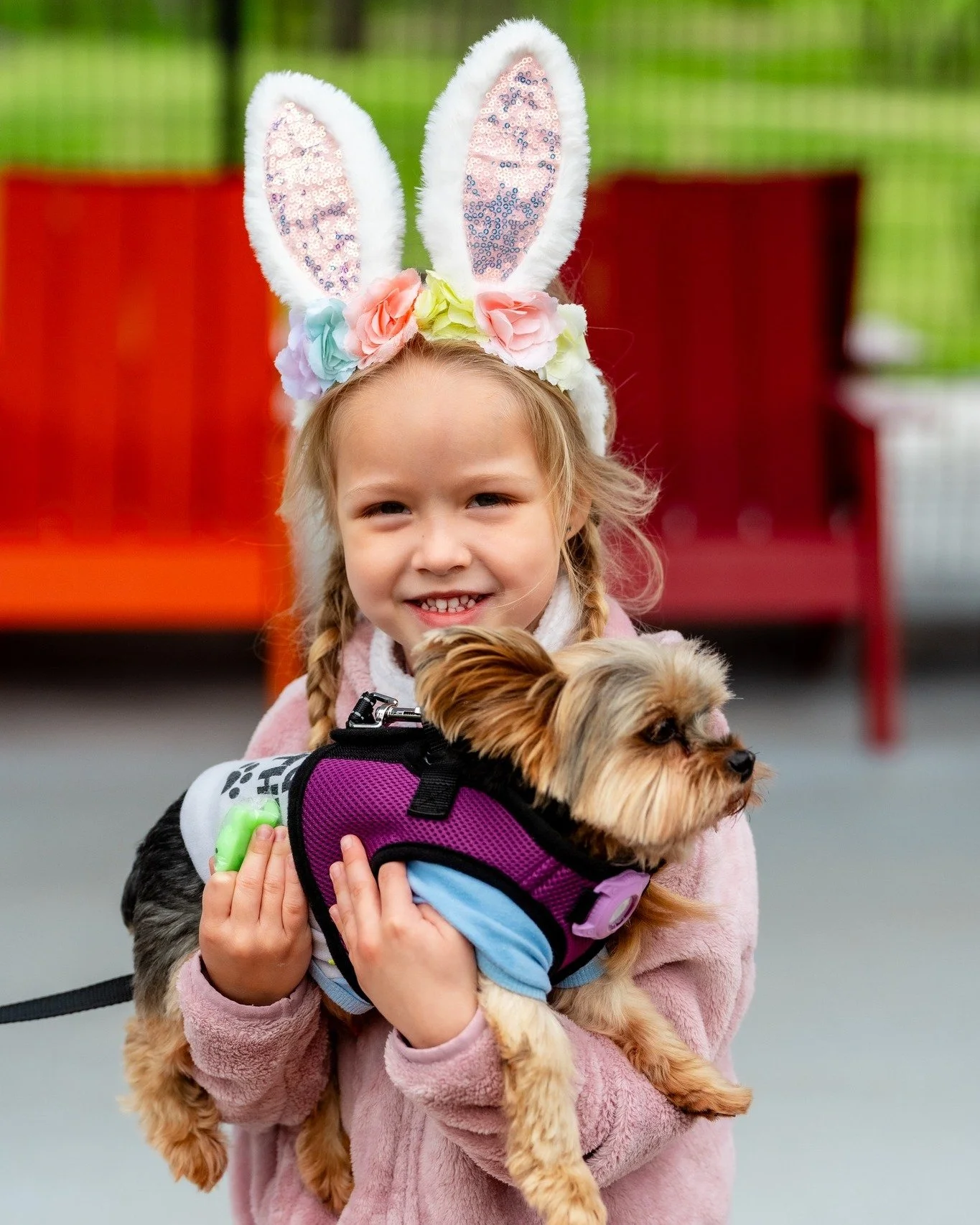 DOG 🐾 PARK 🐾 OPENING
Need I say more?!?!

📸 content captured for @monika_normand_creative