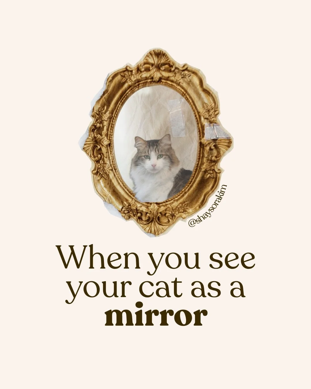 We don&rsquo;t always get the pet we want, we get the pet that we need. IMO Having an open mind is a crucial skill to cultivate when caring for another species. 
In this case, curiosity saves the cat 🤭

Which of these questions most caught your atte