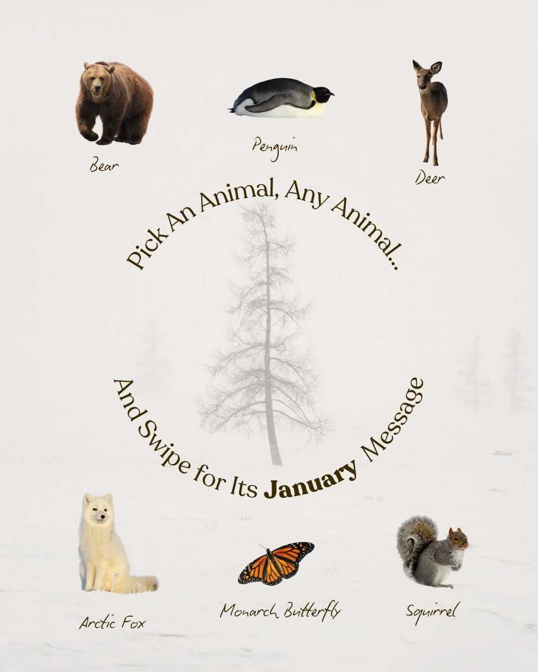 Tell me which animal&rsquo;s approach made your belly relax and your shoulders drop a little? Imagine this translating to your life in January. 
💭Notice how you&rsquo;re living, how that makes you feel. Notice how that would benefit your pet.
​
Some