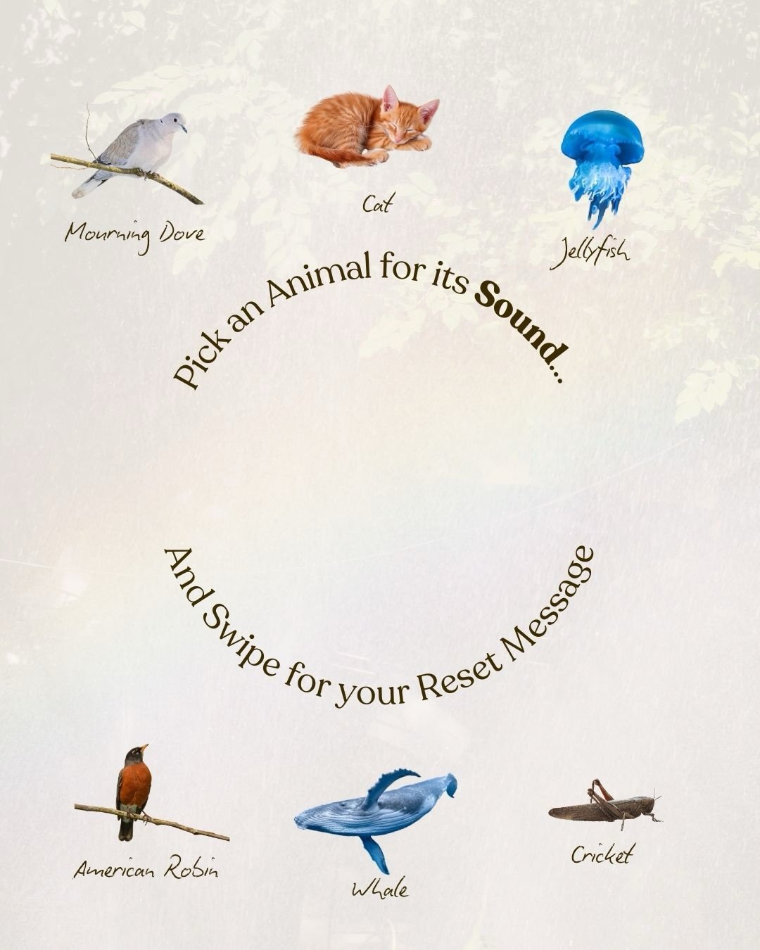 Which animal reset you?🎧personally, I needed the jellyfish&rsquo;s medicine this week. 🪼

The nervous system is always listening. Sound doesn&rsquo;t stop at your ears of course. 
It travels through the body and settles into the fascia. Some noise 