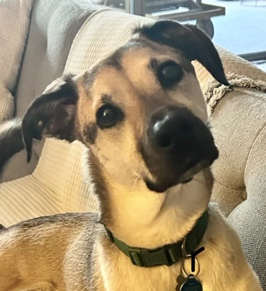 93f33c5d-499b-4de6-ab3b-3e5924f265f8_IMG_7844 2.jpg