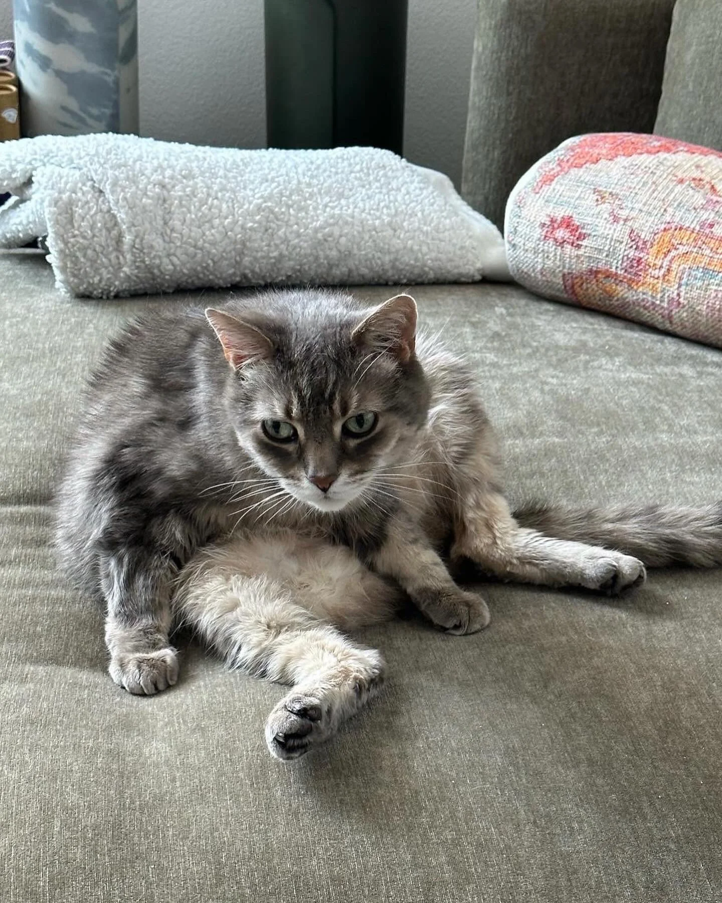 75E7D97D-D7A4-47FE-8DC4-E03B7196EDFB - Sonja R.JPG