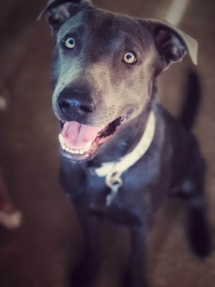 IMG_5093 - Aaria Beckeyt.jpeg