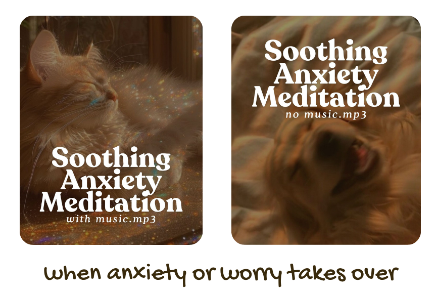 blissful peaceful cat and dog. This is the cover photo for the free resource, soothing anxiety meditation