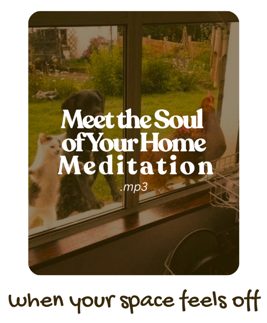Cat and Dog are looking inside the window of a home from the outside. This is the cover image for the meditation Meet the Soul of Your Home.
