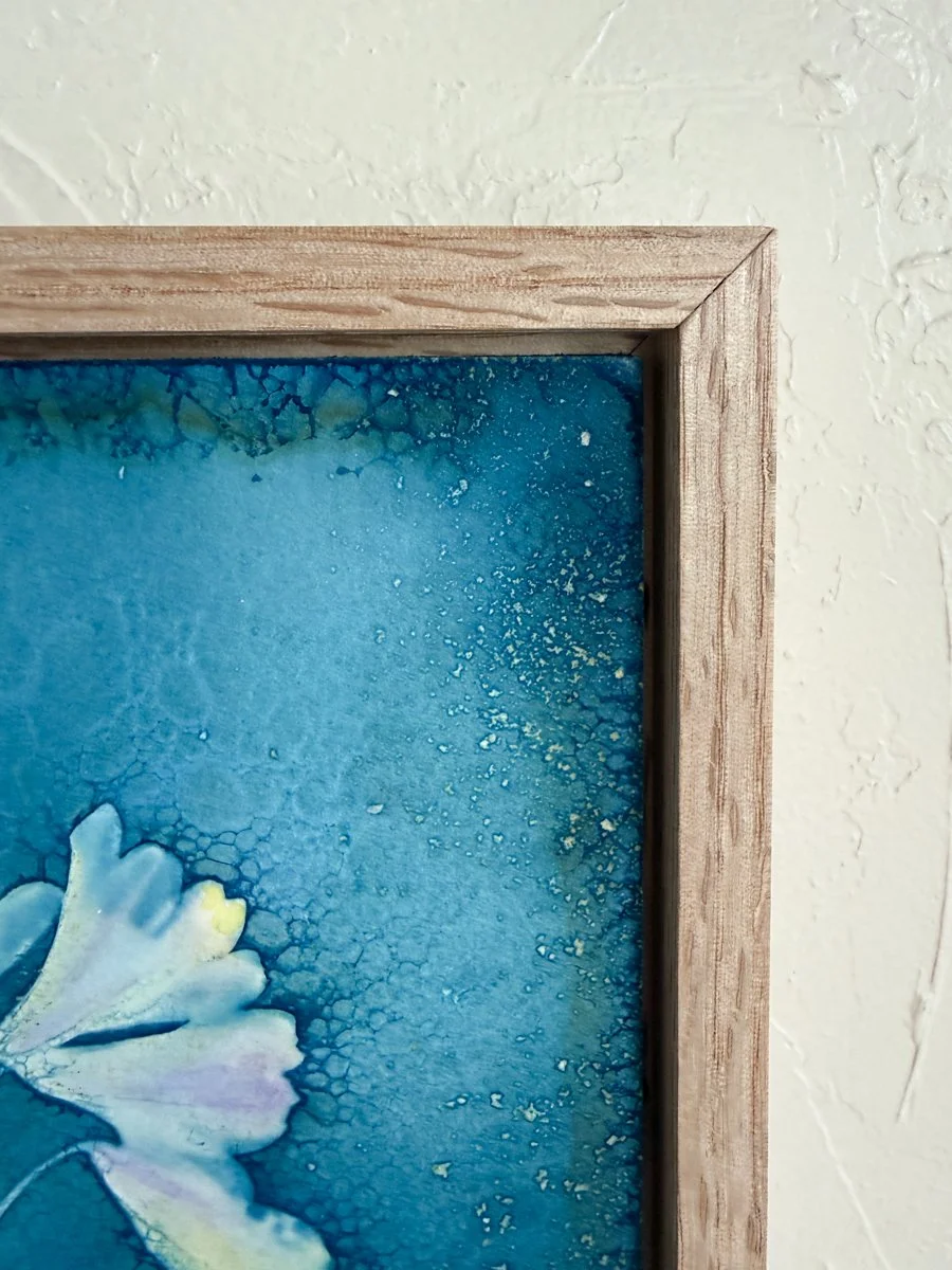 Roxi-Hardegree-cyanotype-Cactus.jpg
