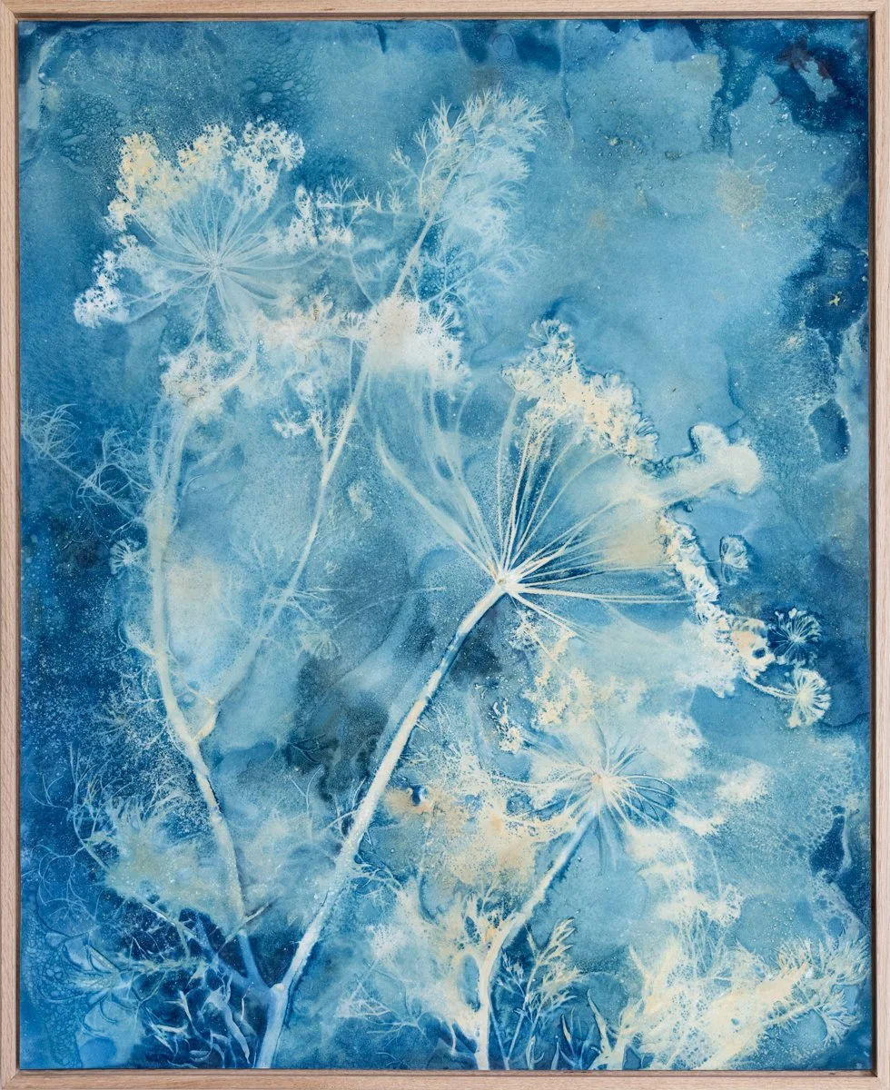 Roxi-Hardegree-cyanotype-Evening-in-the-Garden-Dill.jpg