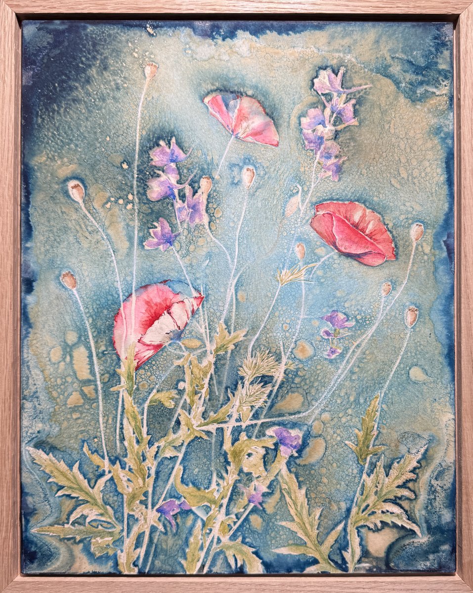 Summer Color
Cyanotype with watercolor. 
11"x14" mounted in float frame. (SOLD)