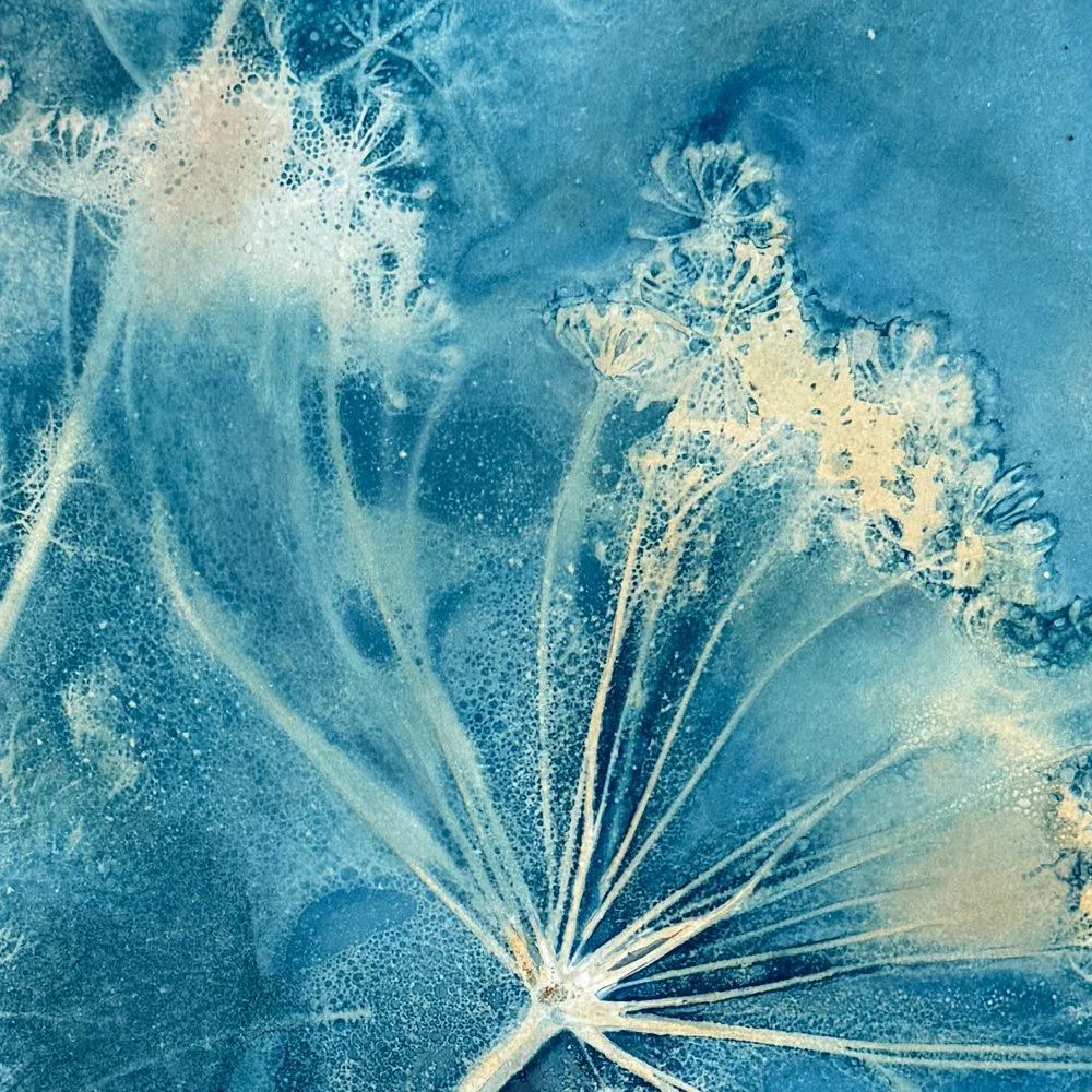Roxi-Hardegree-Dill-detail.jpg