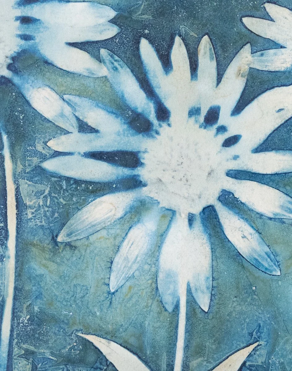 Roxi-Hardegree-cyanotype-Cactus.jpg