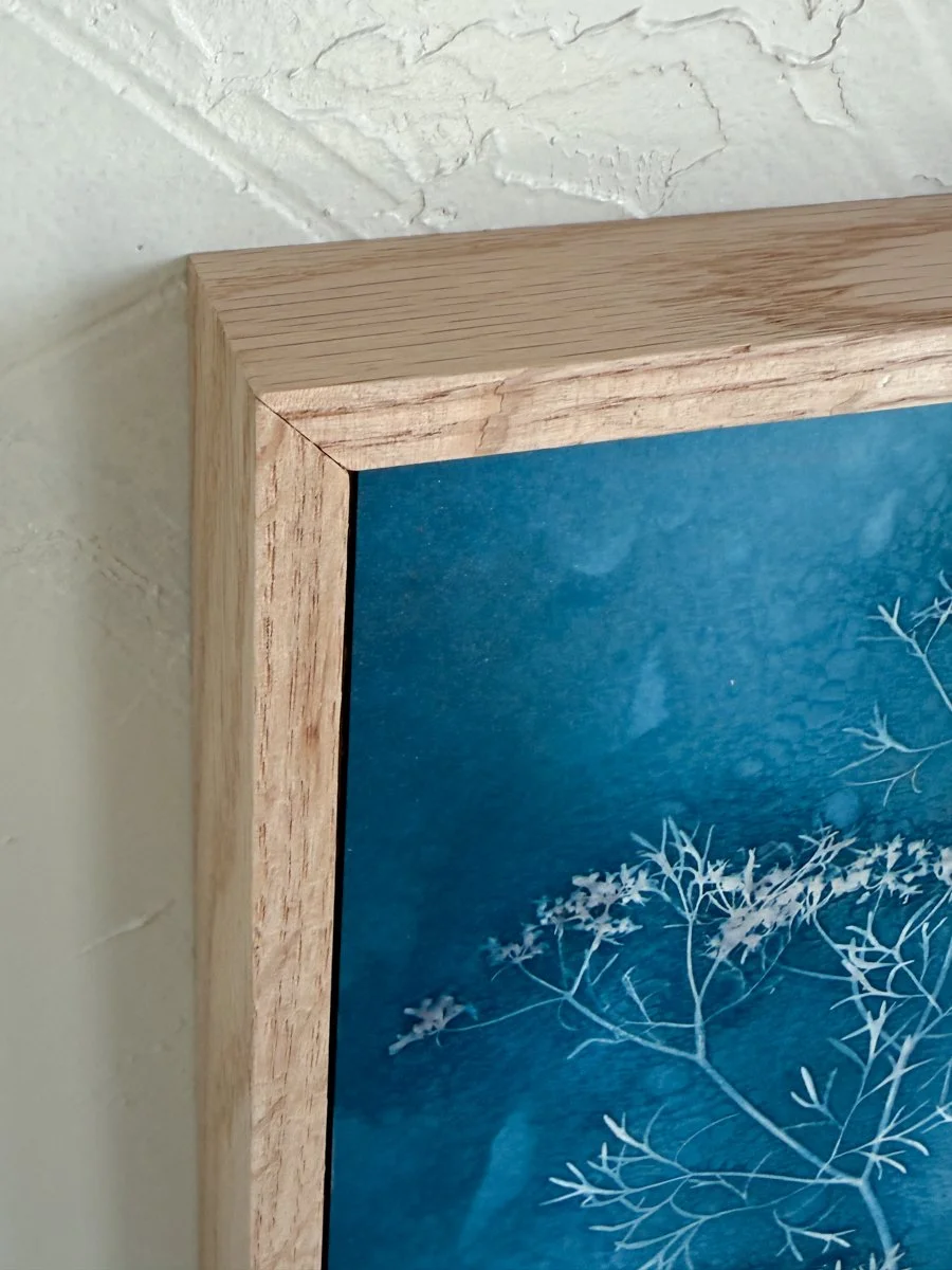 Roxi-Hardegree-cyanotype-Delicacies-frame.jpg