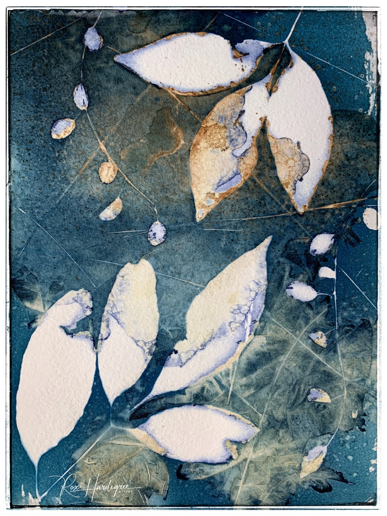 Wet cyanotype leaf print