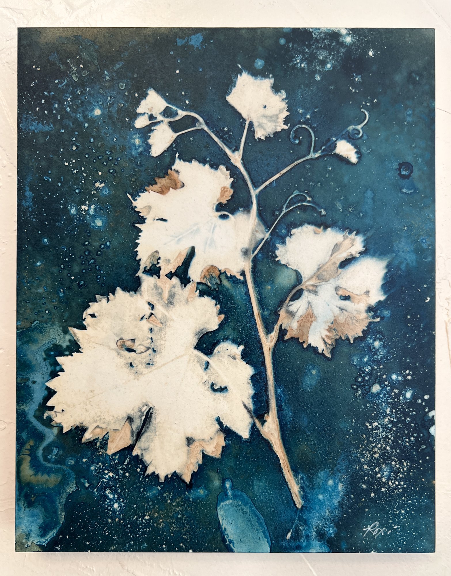 Roxi-Cyanotype-Grape-Leaves.jpg
