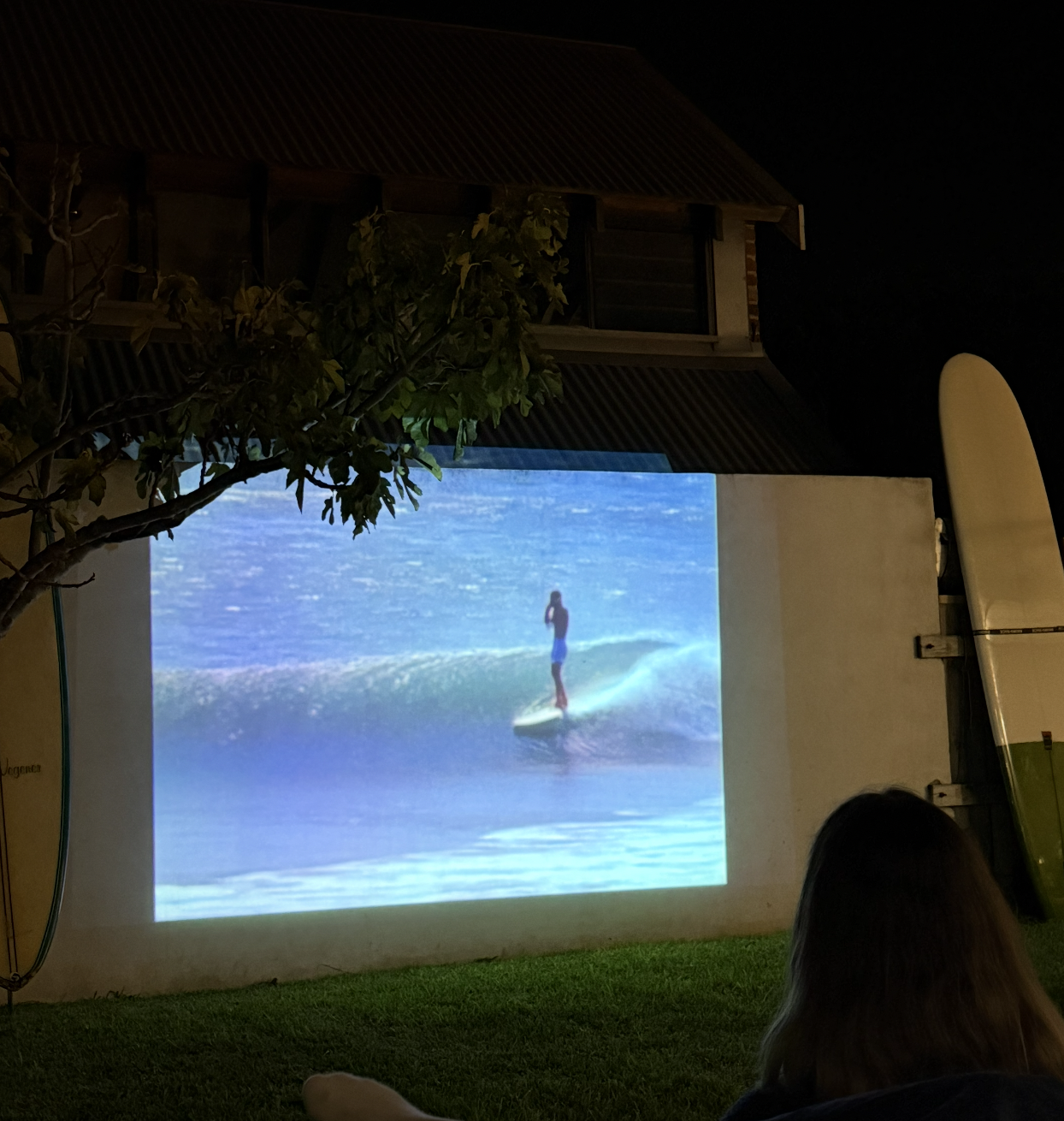 Movie Night - Burgers, Boards and ‘The Endless Summer’