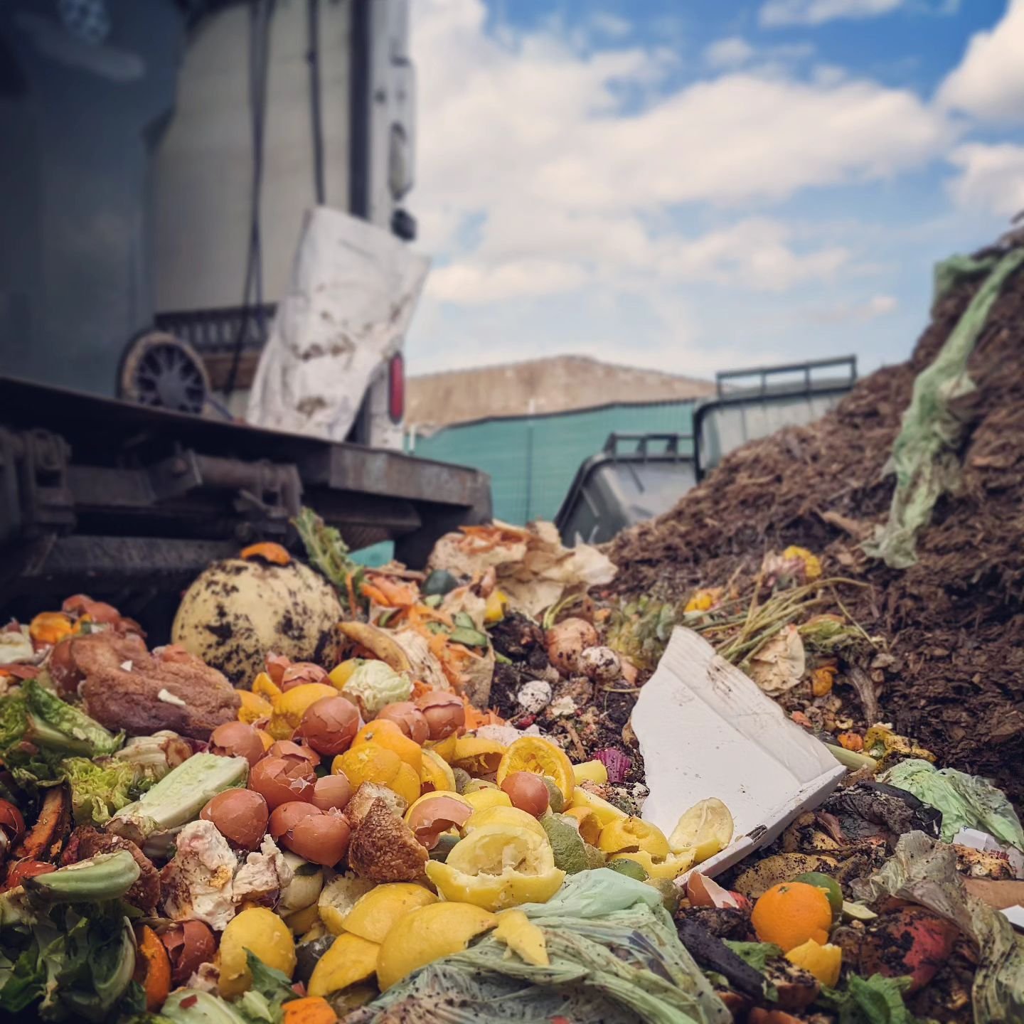 Just another beautiful day making compost! 💚🍋🥬🧡⛅