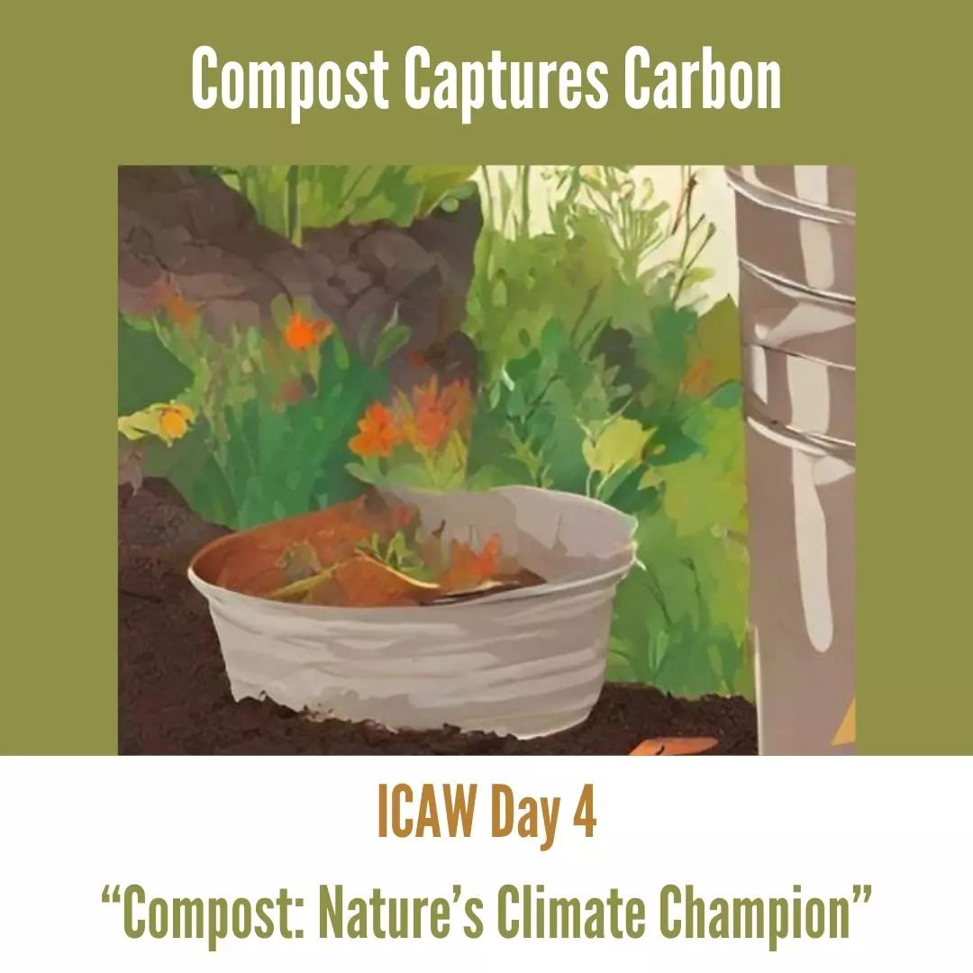 Day 4! Carbon sequestration is the capture, removal, and storage of carbon dioxide from the earth's atmosphere. When compost is applied to our soils, it enhances soil health and creates an abundant community of microbes and healthy plants that seques