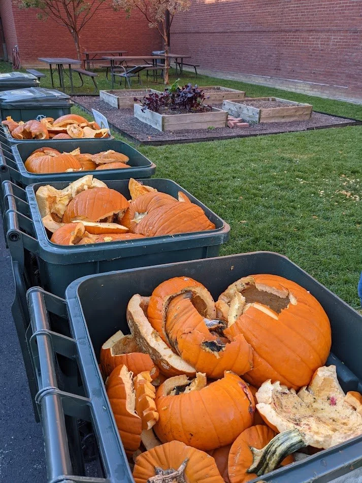 pumpkins smash webster groves