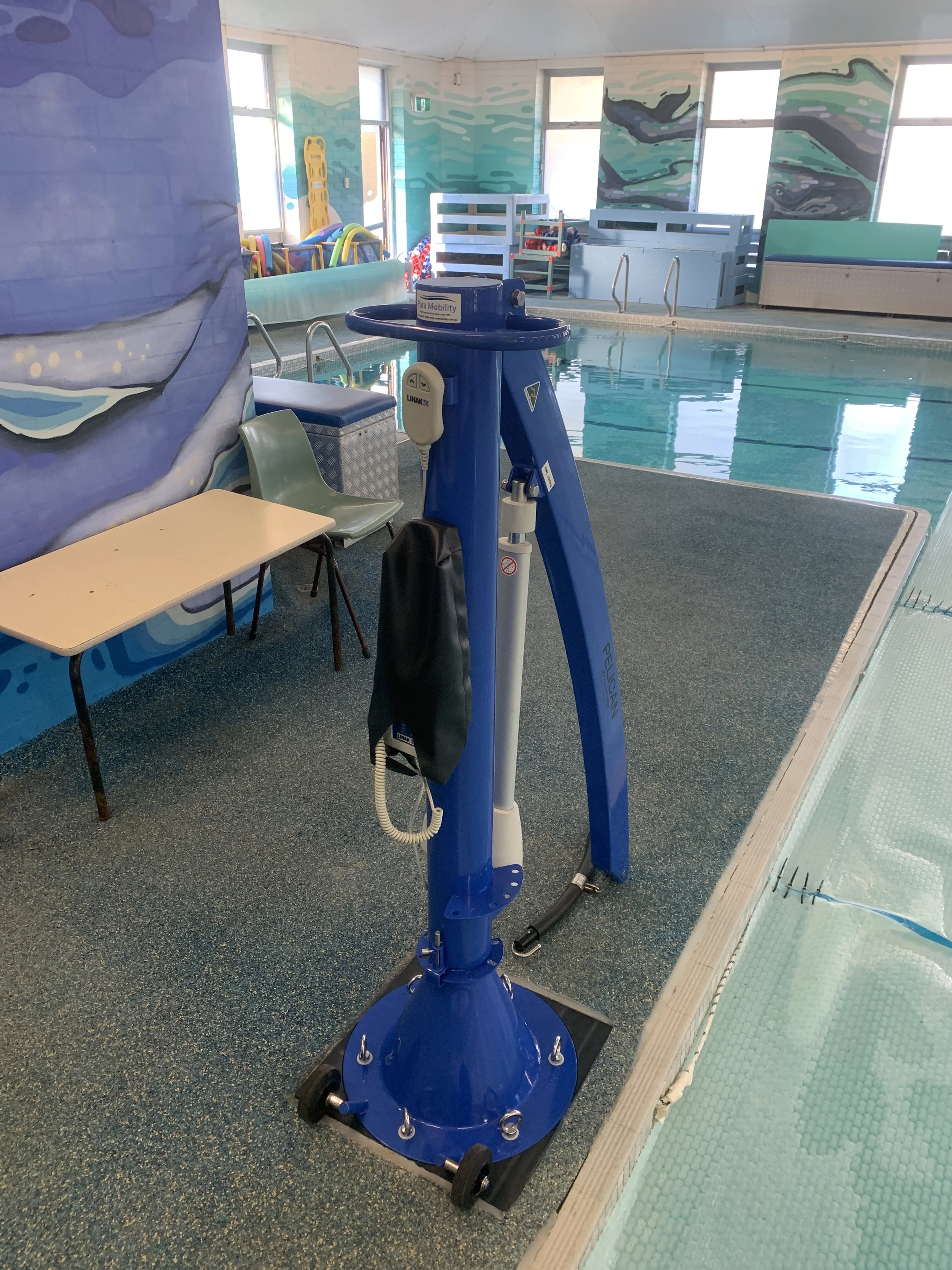 Pool hoist