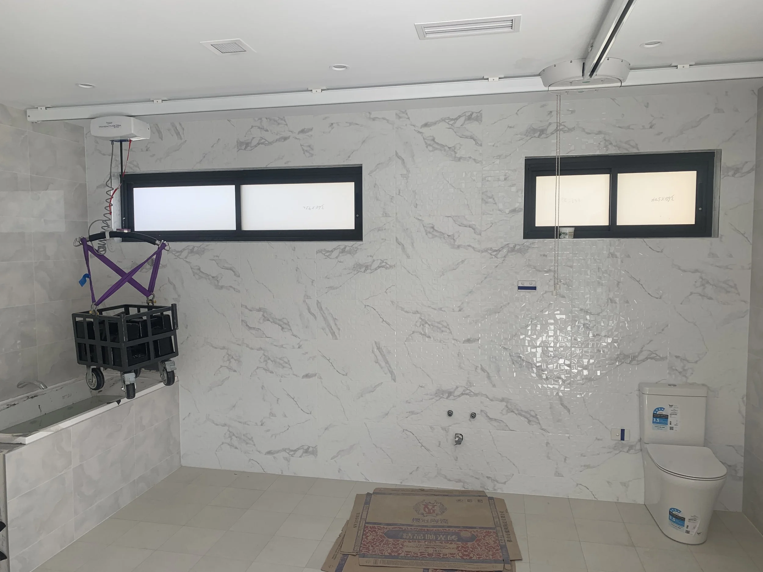 Accessible bathroom hoist