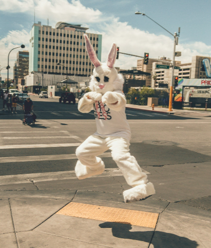 a person wearing a fluffy bunny suit denoting the mascot of the traumatised family