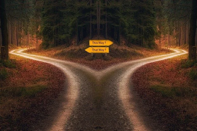 a picture of a fork in the road with signs pointing to this way or that way, signifying that the client has to choose which values they will be driven by