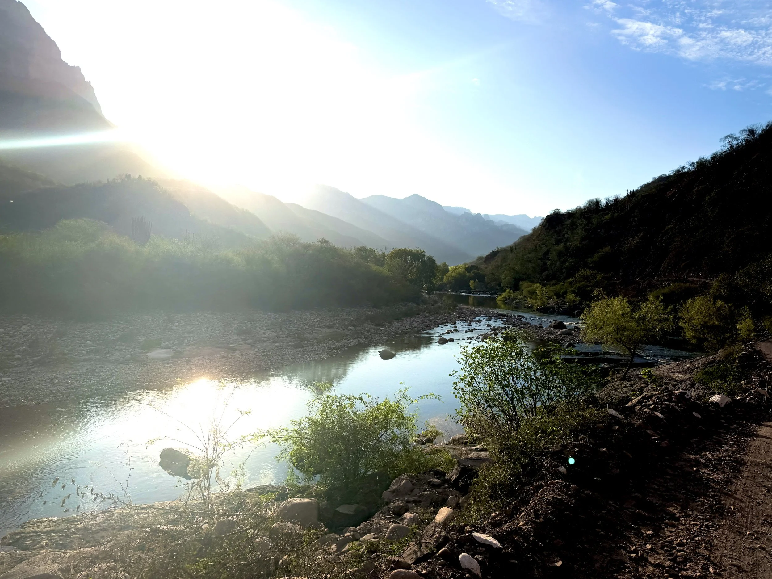 2026_03_03 Sierra and Entre after Caballo (83).JPEG