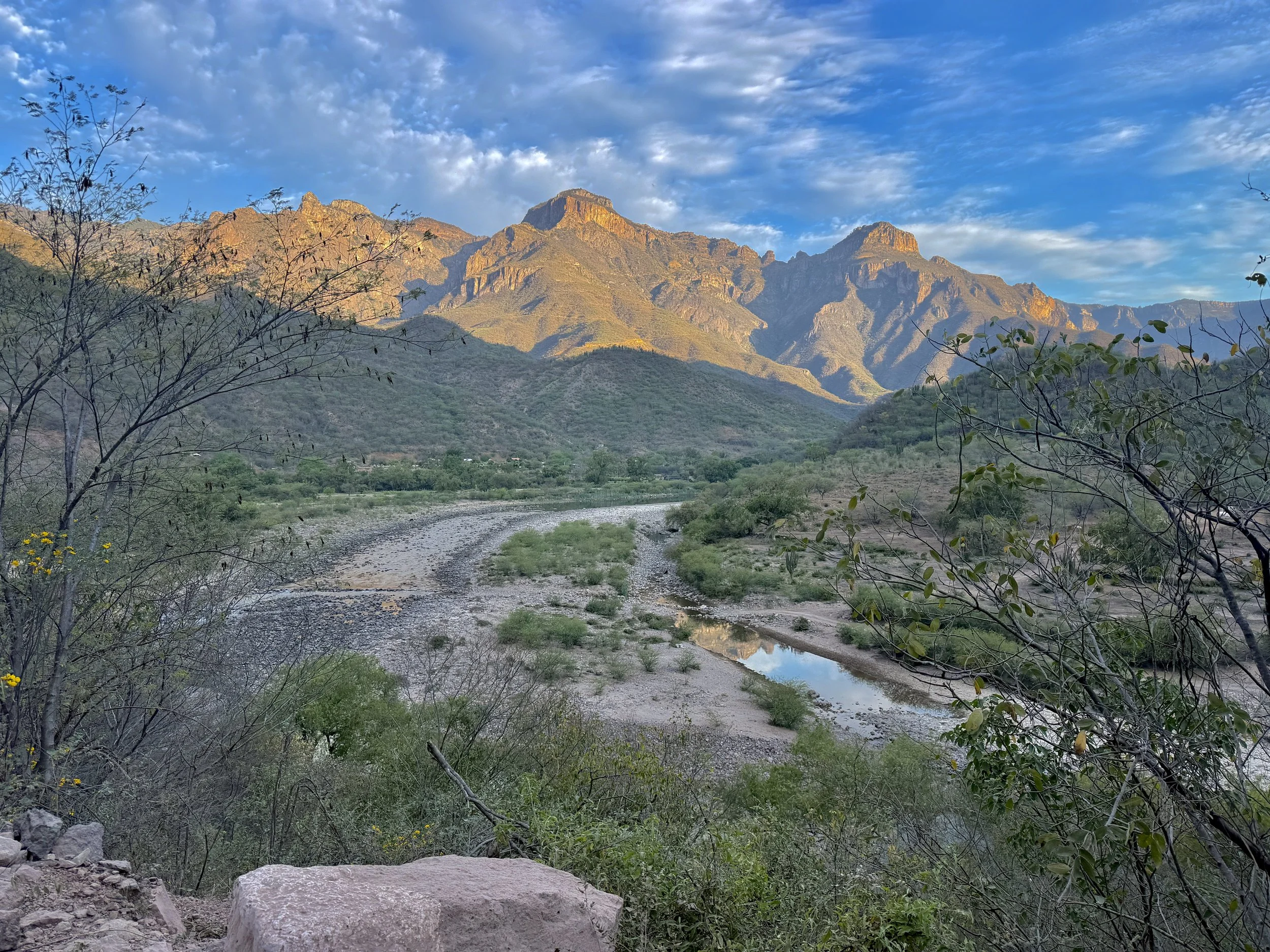 2026_03_03 Sierra and Entre after Caballo (87).JPEG