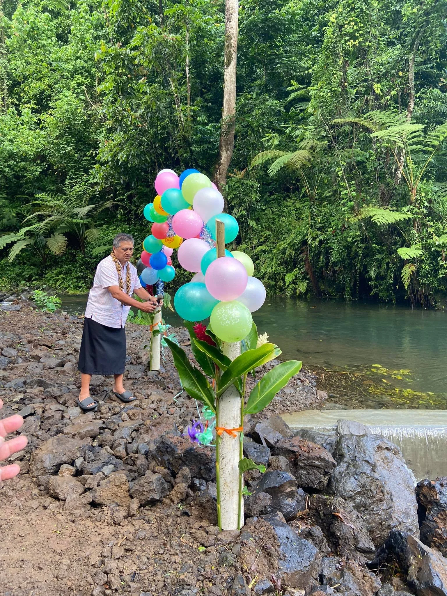 Tatala Aloaia E Lauli'i Se Poloketi E Tapue Ai Le Suavai