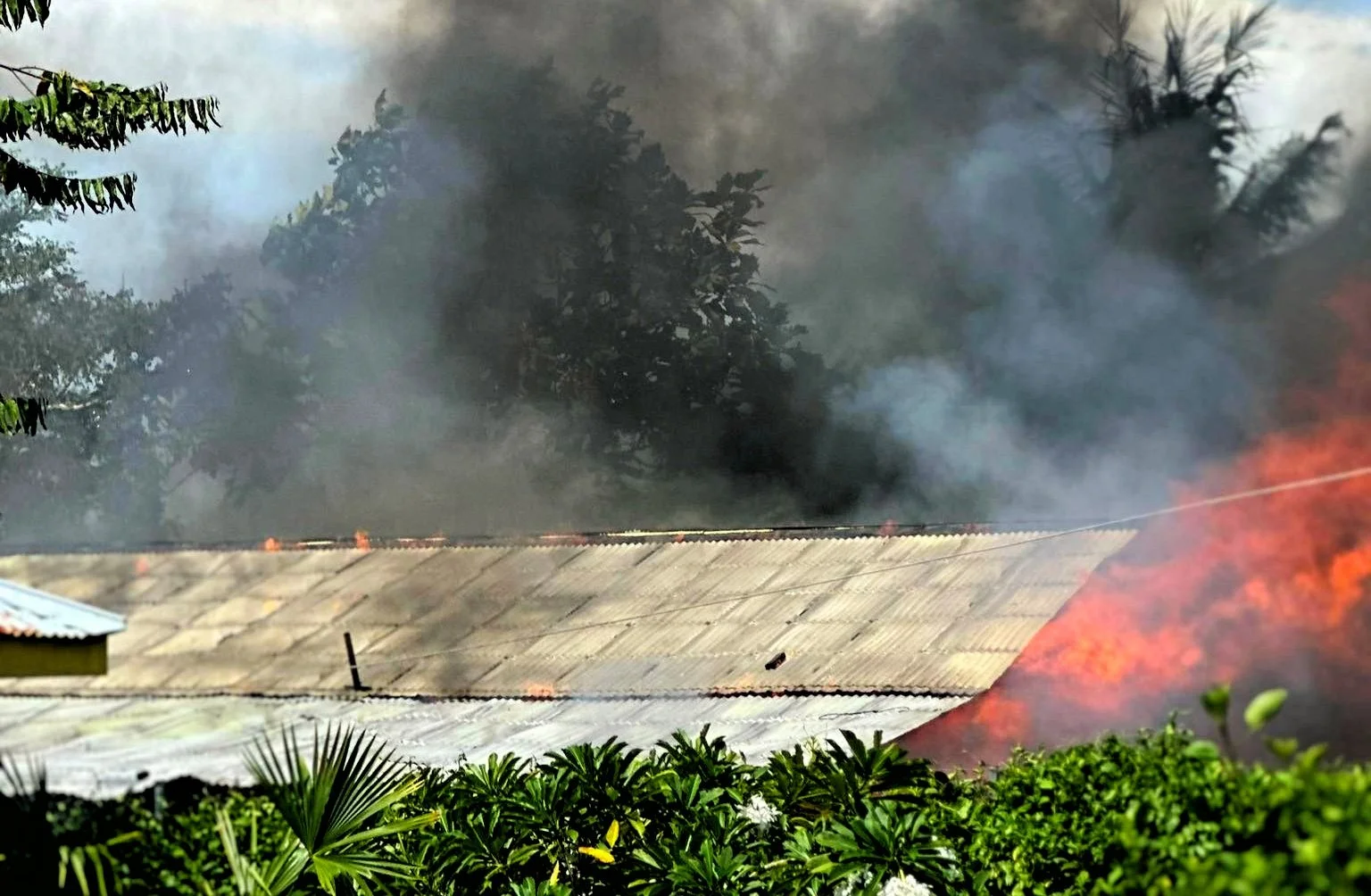 Toe Aafia Fo'i Seisi Fale I Vaitele I Se Mu