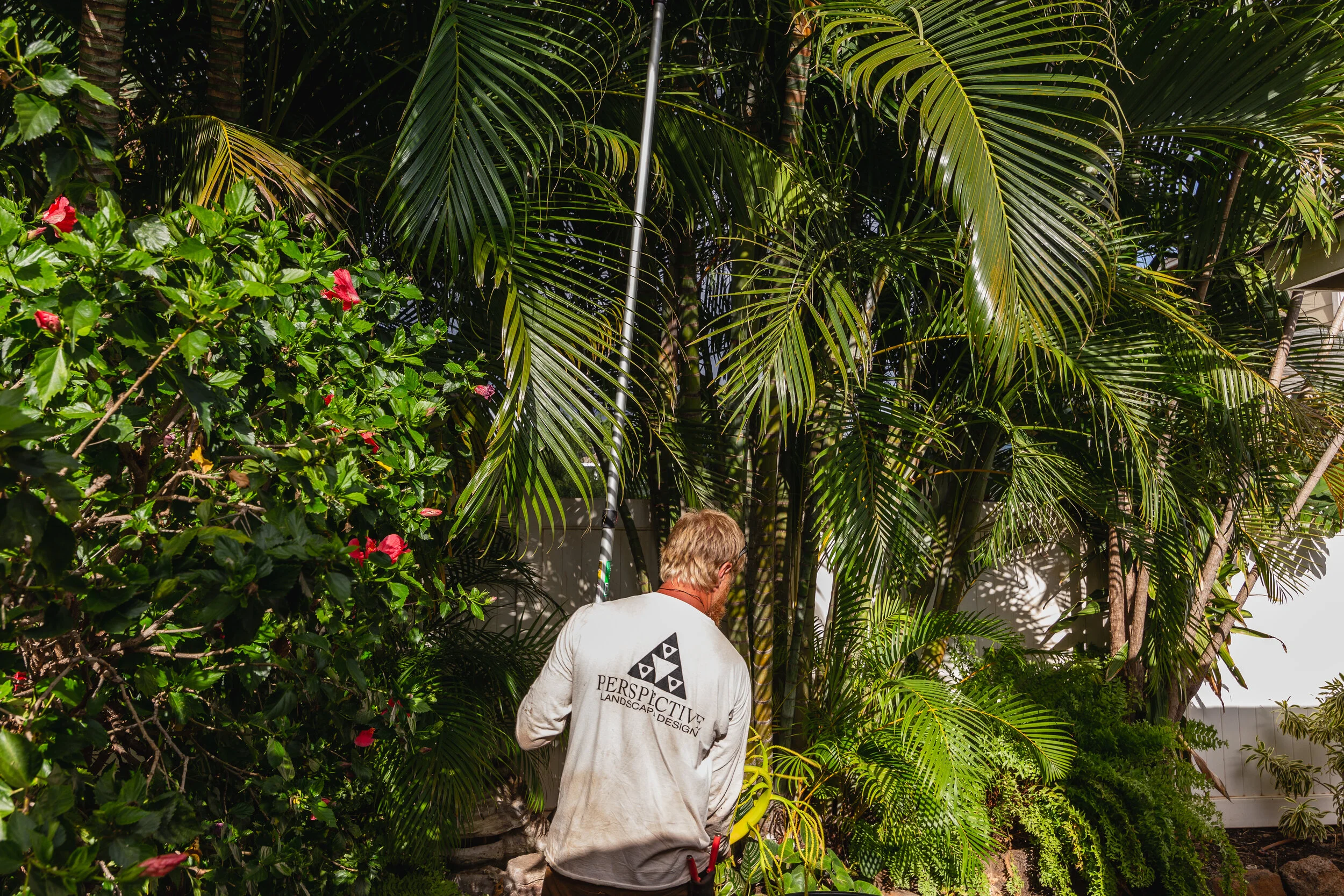 IMG_0466.jpg