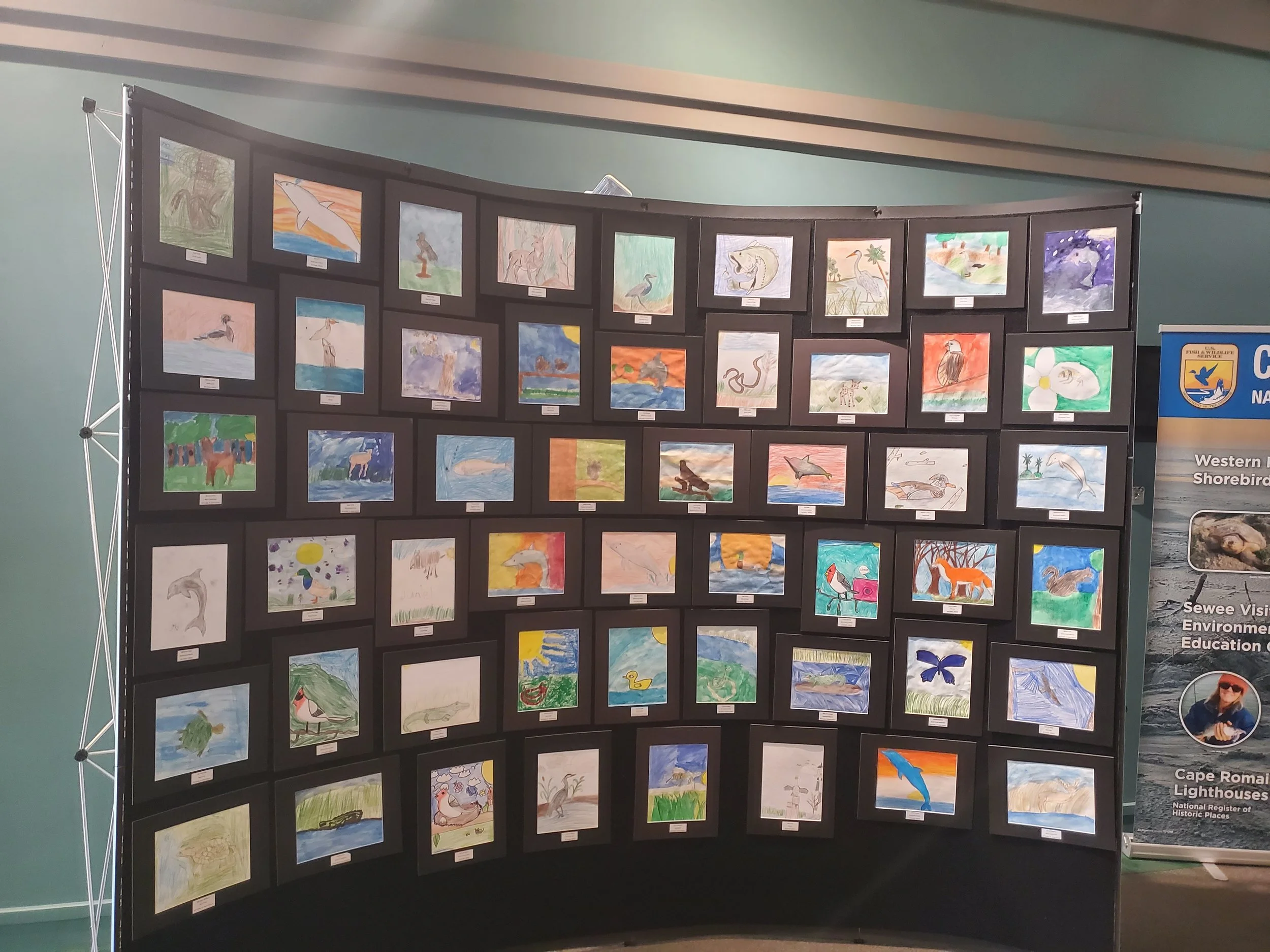 20250517_114414 (1).jpg