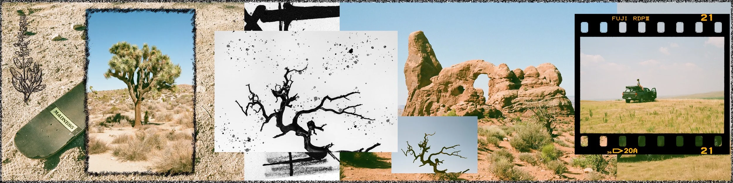 joshua tree edit jpg 1.jpg