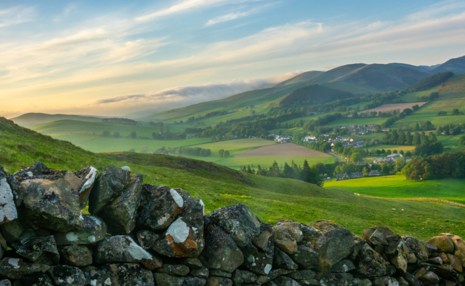Rolling green hills and farmland in the Irish countryside under soft morning light.